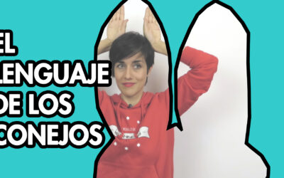 Entiende mejor a tu conejo