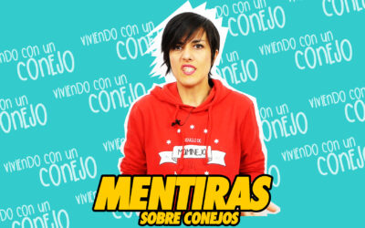 Mentiras sobre los conejos