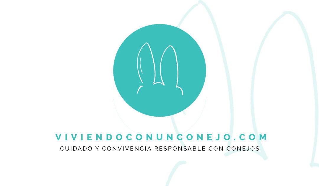 Qué hacer cuando encontramos un conejo abandonado
