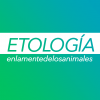 Logo3