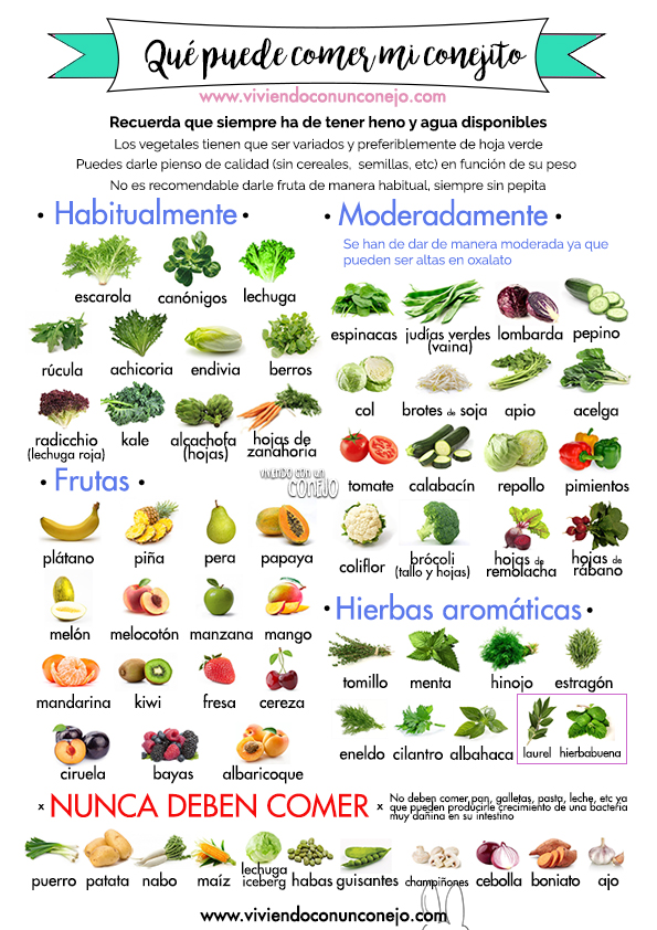 GuíaVegetalesyFrutasAptas_ViviendoConUnConejo Guia_Vegetales_Conejos_Viviendoconun_conejo